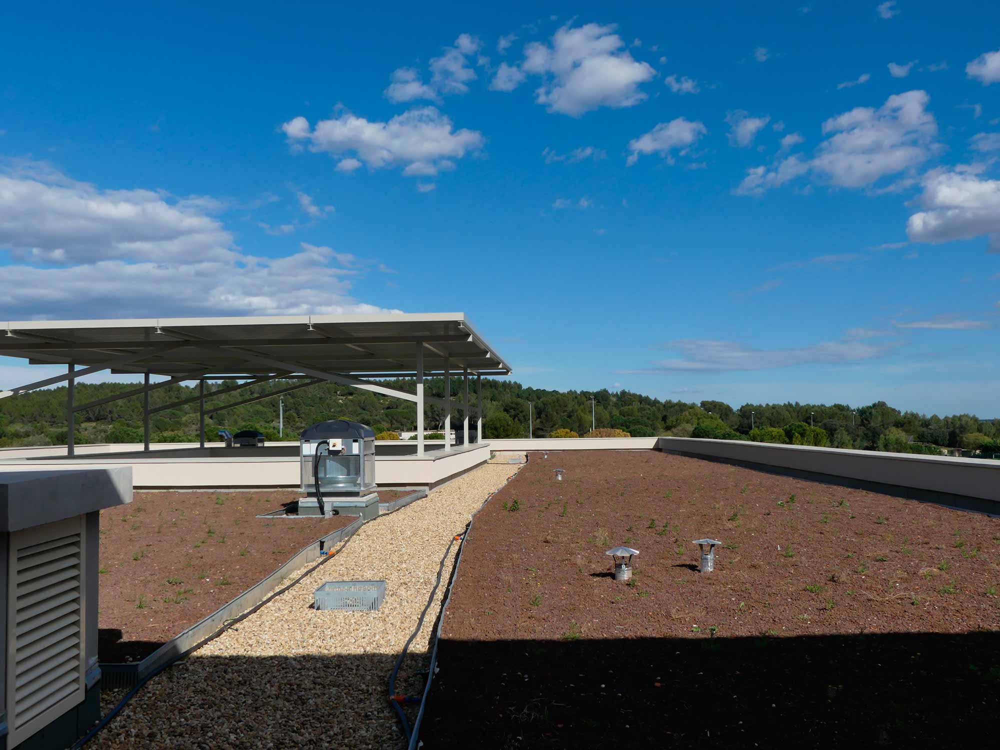Centre soins Caveirac - toiture végétalisée